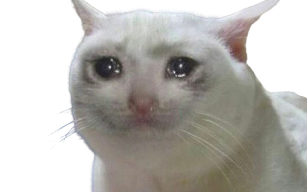 cat crying meme image